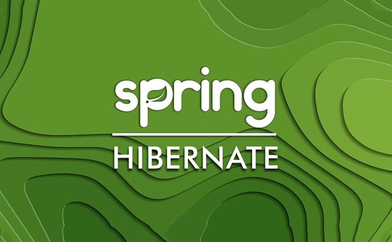share khoa hoc Udemy Spring Hibernate for Beginners Vietsub