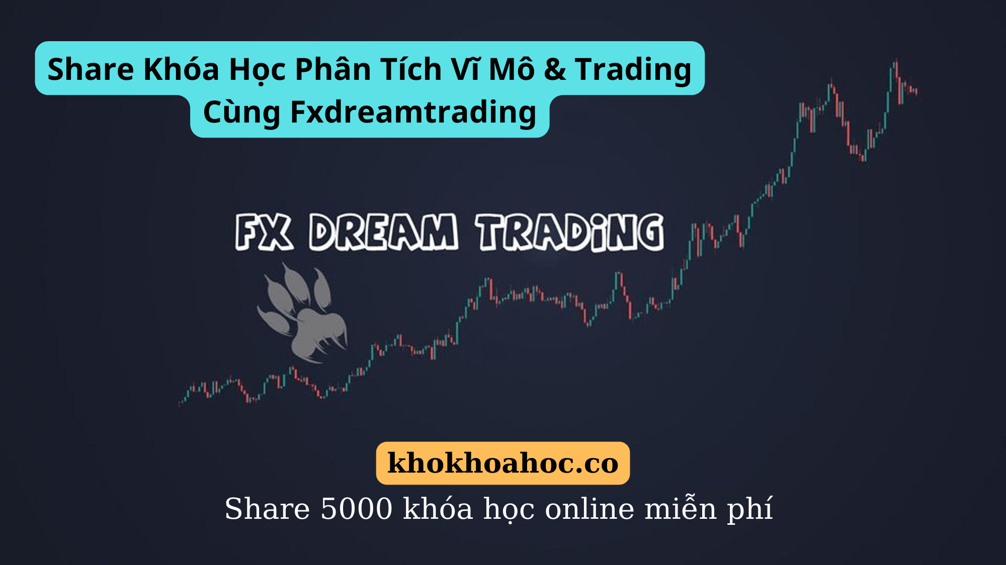 Khóa Học Phân Tích Vĩ Mô & Trading Cùng Fxdreamtrading Khóa Học Pro